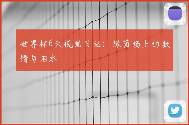 世界杯6天视觉日记:绿茵场上的激情与泪水