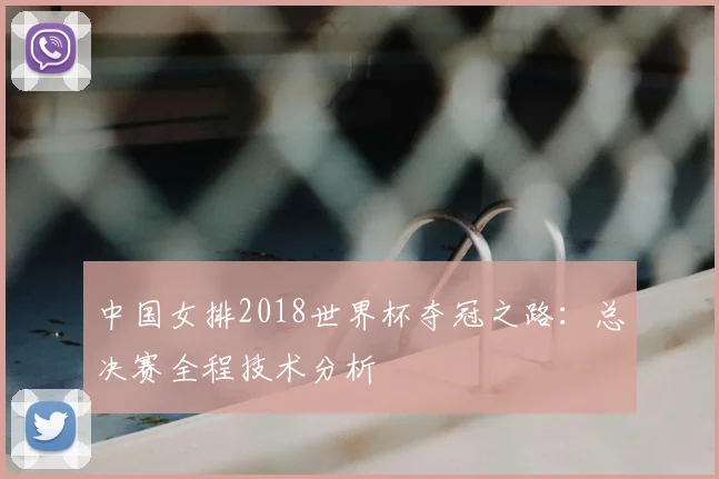 中国女排2018世界杯夺冠之路：总决赛全程技术分析