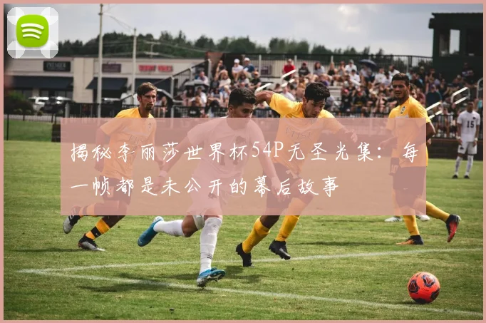 揭秘李丽莎世界杯54P无圣光集：每一帧都是未公开的幕后故事